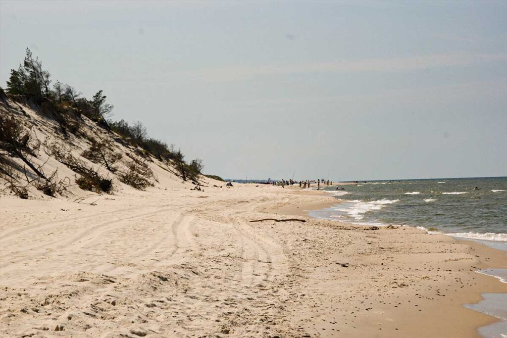 widok na wydmy i plażę w Czołpinie